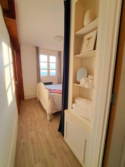 Charmant Duplex A Thiers, Vue Sur La Chaine Des Puys Exteriör bild